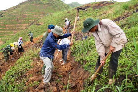 Do làm tốt công tác tuyên truyền, vận động, từ 12 ha trồng thí điểm, đến nay toàn huyện Than Uyên đã trồng được gần 500 ha cây cao su tại 3 xã: Mường Kim, Mường Cang và Mường Mít.