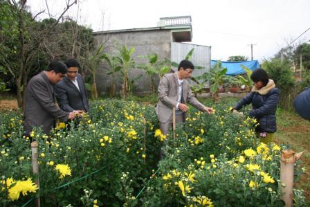 Mô hình trồng hoa của hội viên nông dân xã Mường Than - Than Uyên  (ảnh: Tùng Phương)