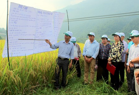 Các đại biểu nghe báo cáo thực hiện mô hình “Canh tác lúa cải tiến SRI”  tại xã Nậm Xe (huyện Phong Thổ)