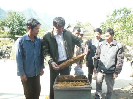 Cán bộ Trung tâm dạy nghề và Hỗ trợ nông dân (Hội Nông dân tỉnh) hướng dẫn bà con bản Lùng Than, xã San Thàng kỹ thuật chăm sóc đàn ong