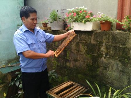   Cựu chiến binh Lê Văn Hiền đang kiểm tra đàn ong nuôi