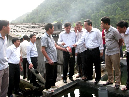   Đồng chí Phùng Quốc Hiển cùng lãnh đạo tỉnh, huyện Tam Đường đi thăm trang trại nuôi cá nước lạnh