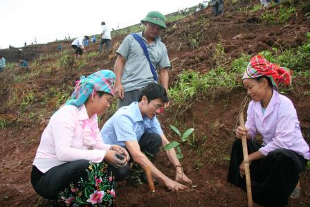 Lãnh đạo huyện Tân Uyên hướng dẫn người dân xã Nậm Sỏ trồng quế