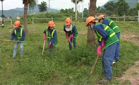 Ảnh Nguyên Hiệp Đài PT-TH tỉnh: Công nhân HTX dịch vụ vệ sinh môi trường Mai Thoa đang dọn dẹp vệ sinh