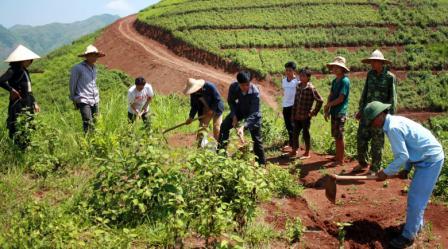 Cán bộ Kỹ thuật Công ty Cổ phần Cao su Lai Châu hướng dẫn công nhân đào hố trồng cây cao su