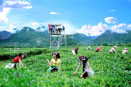 Phát triển sản xuất nông nghiệp gắn với phát triển du lịch sinh thái là thế mạnh của huyện Tân Uyên