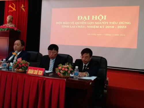 Đoàn Chủ tịch điều hành Đại hội Hội BVNTD tỉnh lần thứ II, nhiệm kỳ 2018 - 2023