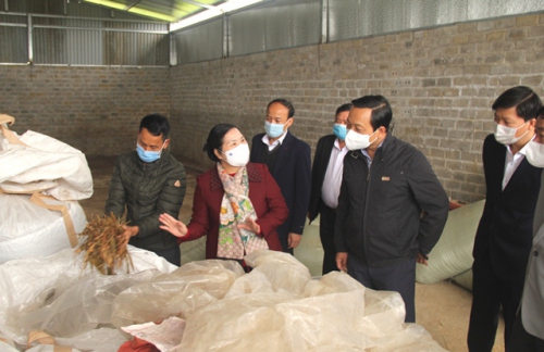 Đoàn công tác thăm mô hình chế biến thức ăn từ phụ phẩm nông nghiệp của gia đình anh Đoàn Văn Kiên, tổ dân phố số 5, thị trấn Tân Uyên