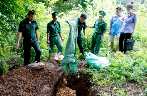 Đồn Biên phòng Cửa khẩu Ma Lù Thàng (huyện Phong Thổ) tiến hành tiêu hủy vật chứng