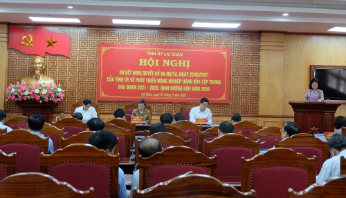 Quang cảnh hội nghị