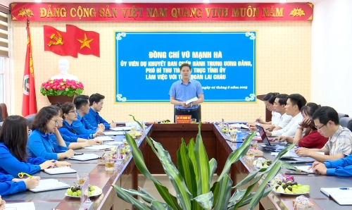Đồng chí Vũ Mạnh Hà - Ủy viên dự khuyết Ban Chấp hành Trung ương Đảng, Phó Bí thư Thường trực Tỉnh ủy phát biểu tại buổi làm việc