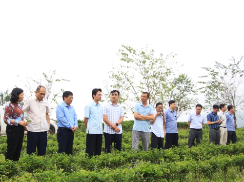 Đoàn công tác kiểm tra tình hình phát triển nông nghiệp tại xã Tà Mung (Than Uyên)