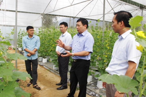 Đoàn công tác thăm mô hình trồng dưa sạch trong nhà màng do Trung tâm Dịch vụ Nông nghiệp huyện thực hiện đang mang lại hiệu quả cao