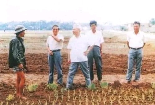 Nhà tư tưởng đổi mới Đào Duy Tùng