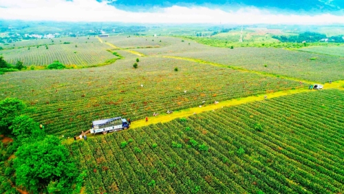 Tiếp nối hào khí Cách mạng Tháng Tám, phấn đấu thực hiện thắng lợi Nghị quyết Đại hội Đảng bộ tỉnh lần thứ XIV