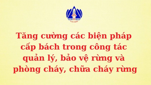 Tăng cường các biện pháp cấp bách trong công tác quản lý, bảo vệ rừng và phòng cháy, chữa cháy rừng