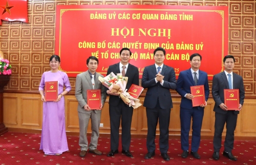 Hội nghị công bố các quyết định của Đảng ủy về tổ chức bộ máy và cán bộ