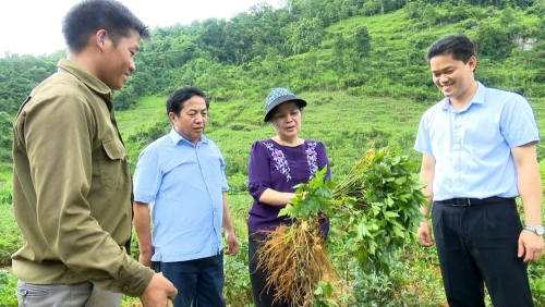 HỌC BÁC TỪ TRÁI TIM - LÀM THEO BÁC BẰNG HÀNH ĐỘNG
