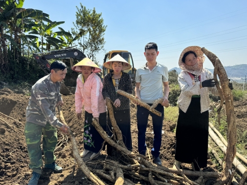 Bản Bo vững bước trên con đường chuyển đổi phát triển nông nghiệp sản xuất hàng hóa