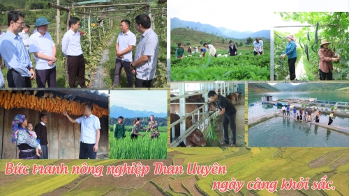 Học tâp và làm theo Bác: Than Uyên hướng đến phát triển bền vững từ nội lực
