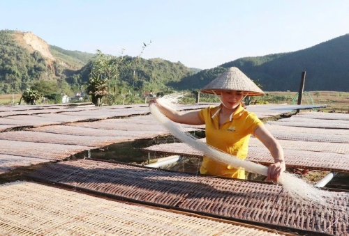Làng nghề sản xuất Miến dong truyền thống đêm lại nguồn thu cho người dân xã Bình Lư