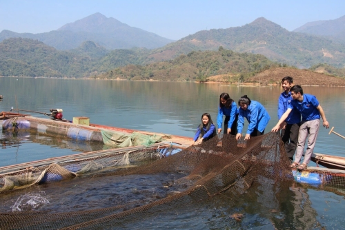 Mô hình nuôi cá lồng trên lòng hồ Thủy điện ở xã Mường Mô mang lại hiệu quả kinh tế cao