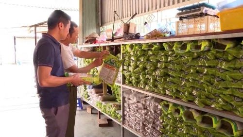 Chất lượng, mẫu mã sản phẩm Miến dong Bình Lư ngày càng được nâng cao