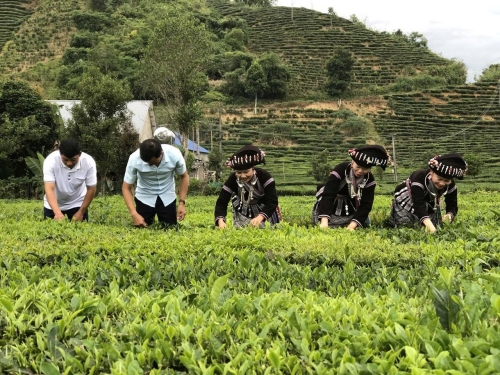 Phấn đấu xây dựng Mường Khoa trở thành xã phát triển của tỉnh