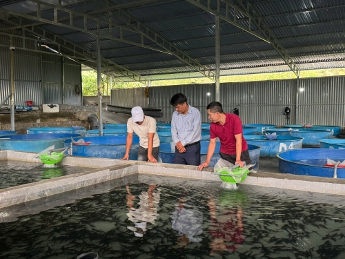 Phấn đến năm 2030 xây dựng xã Bản Bo đạt chuẩn nông thôn mới