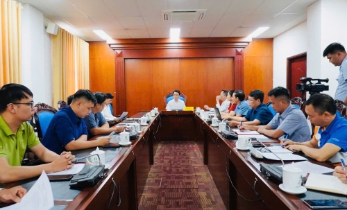 Họp bàn giải pháp xây dựng tiêu chuẩn Việt Nam và Dược điển cho Sâm Lai Châu