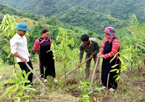 Đồng bào dân tộc La Hủ tích cực phát triển kinh tế, xây dựng cuộc sống ấm no, hạnh phúc