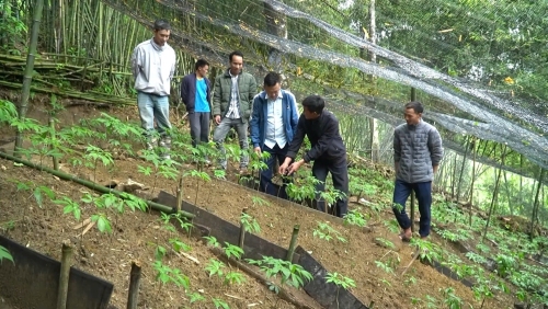 Sì Lở Lầu đẩy mạnh phát triển kinh tế - xã hội, giữ vững chủ quyền, an ninh biên giới quốc gia