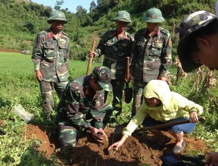 Cán bộ Trung đoàn T80 giúp Nhân dân xã Nùng Nàng trồng cây ăn quả