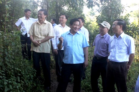 Đoàn giám sát trực tiếp tại các khu rừng ở huyện Sìn Hồ