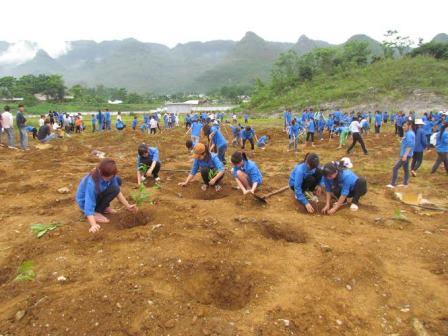 Đoàn viên Trường CĐCĐ Lai Châu trồng cây xanh cải thiện môi trường (ảnh Thanh Hoa)