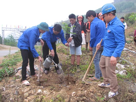 Đoàn viên thanh niên huyện Phong Thổ, Trung tâm Viettel Phong Thổ  trồng cây lát thực hiện công trình “Hàng cây thanh niên
