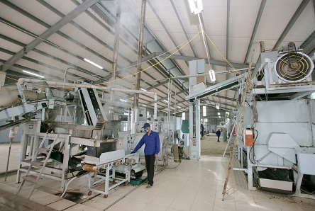Nhà máy chè Ô Long - Tam Đường với công nghệ hiện đại, sản xuất chè Matcha của Nhật Bản