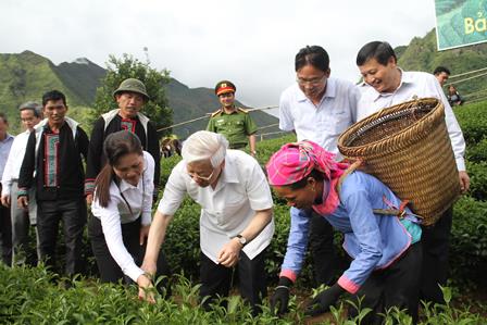 Tổng Bí thư Nguyễn Phú Trọng với người dân vùng nguyên liệu chè Công ty Cổ phần Đầu tư Phát triển chè Tam Đường (ảnh: TP)