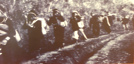 Đồng bào các dân tộc Lai châu tiếp lương, tải đạn phục vụ chiến dịch Điện Biên Phủ 1954
