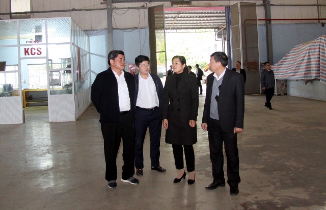 Đoàn công tác của Bộ NN&PTNT thăm nhà máy chè Bản Bo