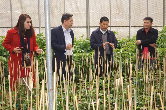 Đ/c Chu Lê Chinh - UVBTVTU, Phó Chủ tịch HĐND tỉnh và đoàn công tác thăm mô hình trồng chanh leo tại huyện Tam Đường
