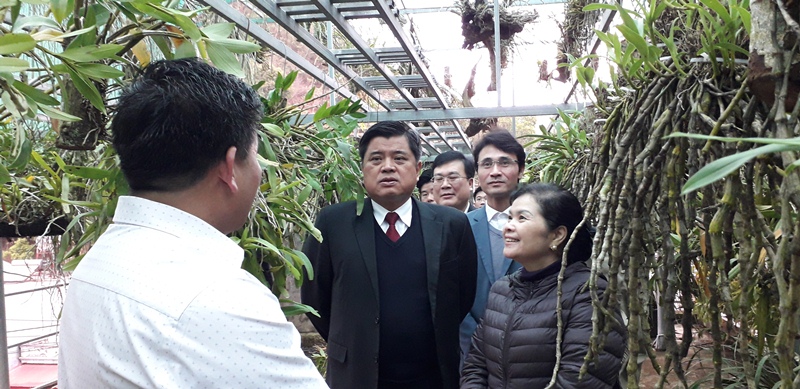 Đ/c Trần Thanh Nam - Thứ trưởng Bộ NN&PTNT và đồng chí Giàng Páo Mỷ - UVBCHTW Đảng, Bí thư Tỉnh ủy, Trường đoàn ĐBQH tỉnh thăm mô hình trồng phong lan tại xã San Thàng, thành phố Lai Châu