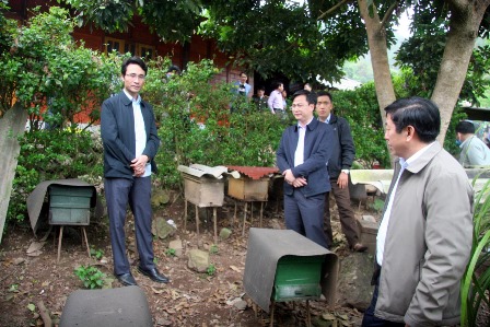 Đoàn công tác thăm mô hình nuôi ong lấy mật bản Thèn Thầu, xã Khun Há, huyện Tam Đường