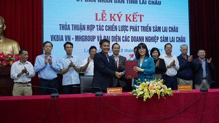 Doanh nghiệp trồng sâm tỉnh Lai Châu và Hiệp hội doanh nhân và đầu tư Việt Nam - Hàn Quốc tại Việt Nam ký kết thỏa thuận hợp tác
