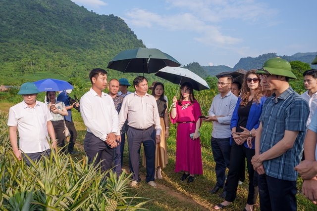 Lãnh đạo các cấp trực tiếp chỉ đạo, triển khai thực hiện Nghị quyết về phát triển nông nghiệp hàng hóa tập trung ở xã Nậm Tăm, huyện Sìn Hồ