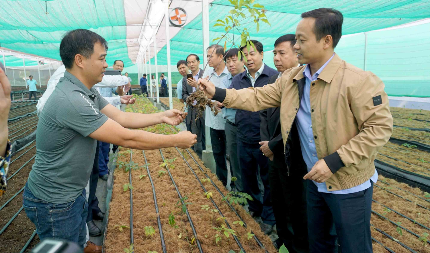 Đoàn công tác tham quan mô hình ươm giống sâm của Công ty Cổ phần Nông nghiệp công nghệ cao Thái Minh