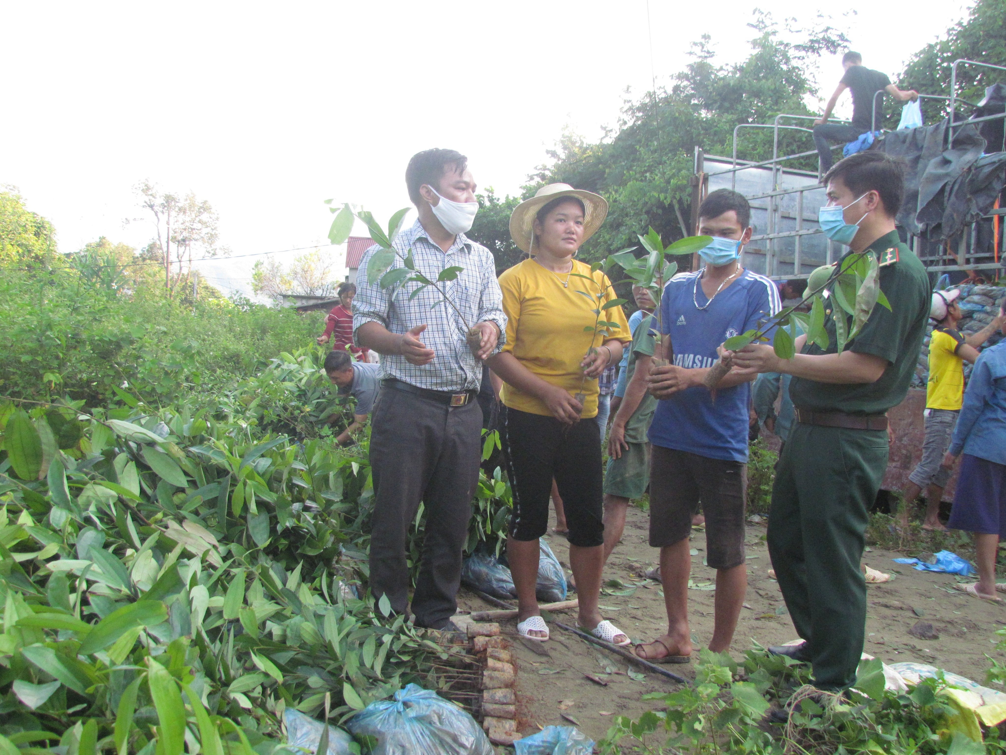Đồng chí Lê Văn Dung - Bí thư Đảng ủy xã Huổi Luông vận chuyển va hướng dẫn người dân trồng cây quế