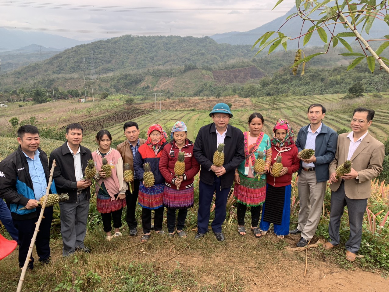 Lãnh đạo huyện Nậm Nhùn vận động người dân phát triển mô hình trồng dứa tại xã Nậm Hàng