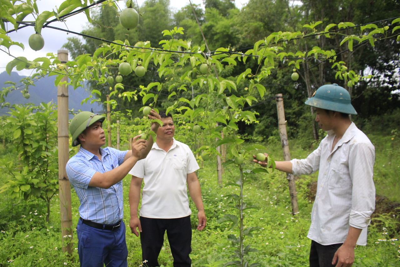 Thông qua các lớp đào tạo nghề, người dân đã tích cực ứng dụng khoa học kỹ thuật vào sản xuất mang lại hiệu quả kinh tế cao