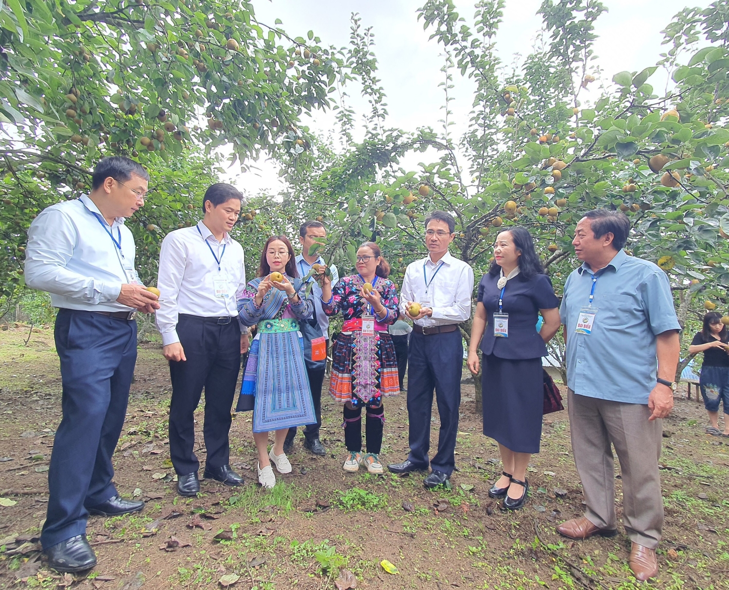 Các đồng chí lãnh đạo tỉnh, huyện nghe giới thiệu về Lê Giang Ma